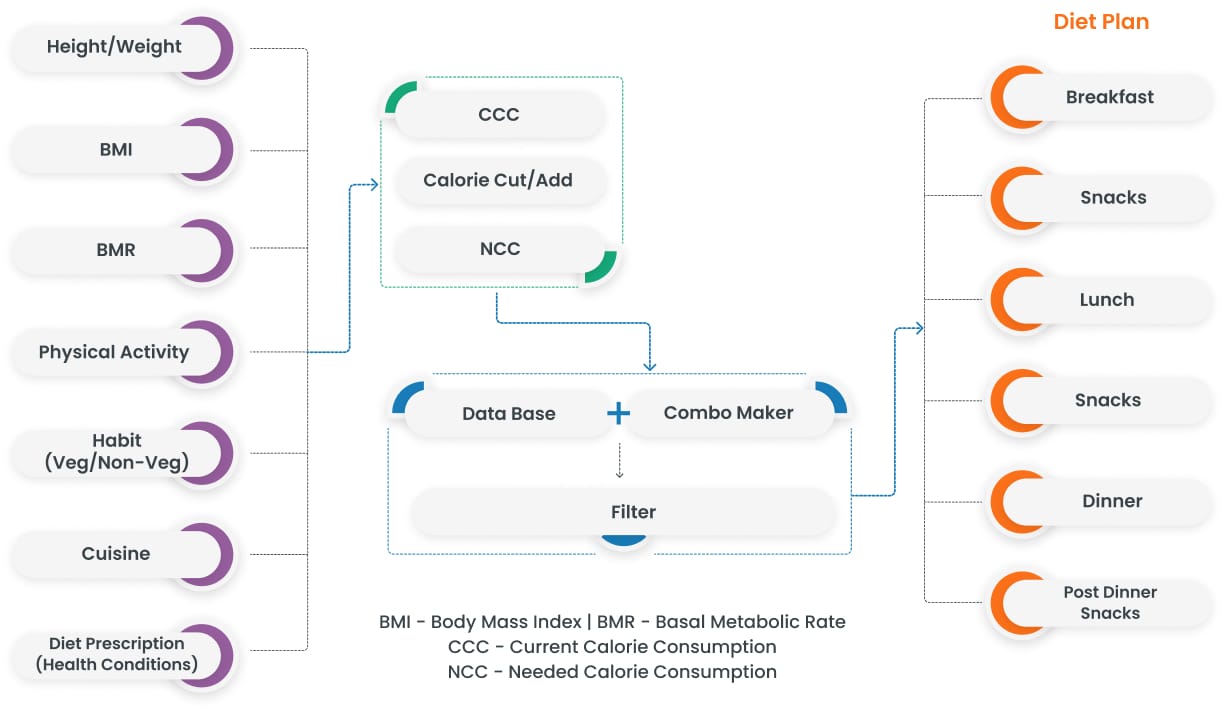 The process flow diagram of DietVu from HealthVectors.