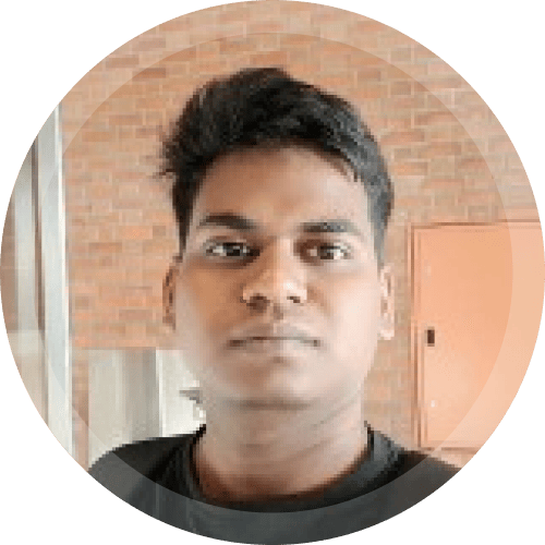 Profile photo of Mr. Indrajit Ruidas, Software Engineer Intern, HealthVector.